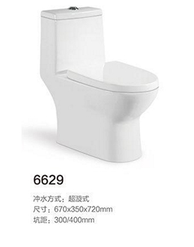 6629