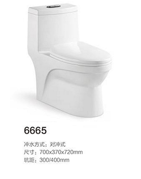 6665