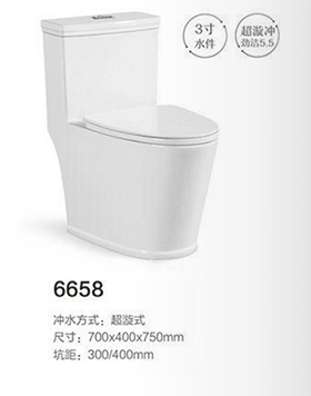 6658